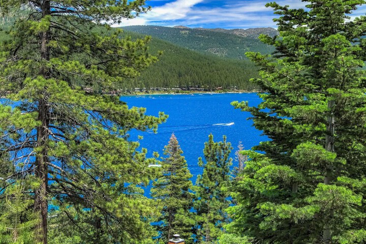 Stunning Views at Stargazer Lakefront Studio!