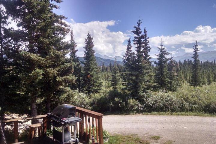 Denalis Alaskan Spruce Cabins