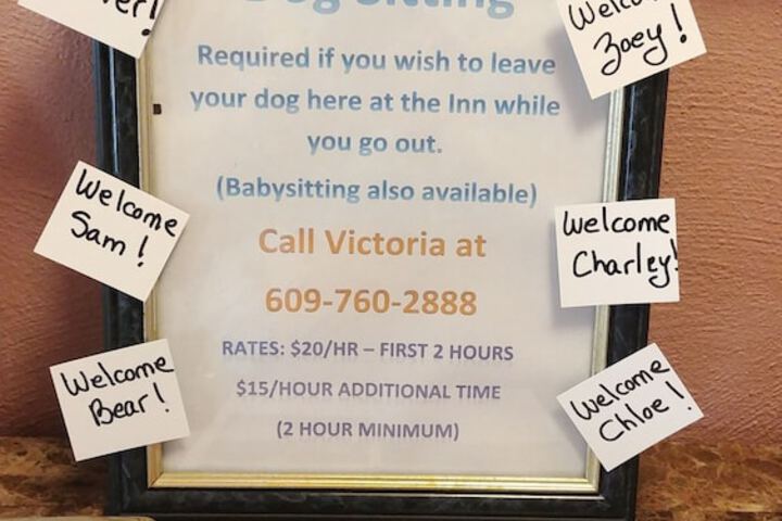 Pet Friendly 179 of 182