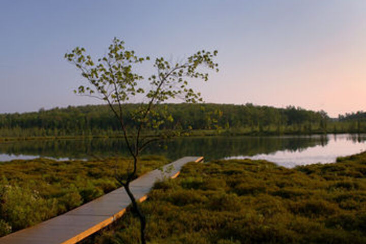 The Lodge at Woodloch