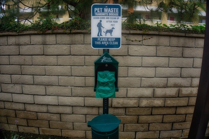Pet Friendly 42 of 43