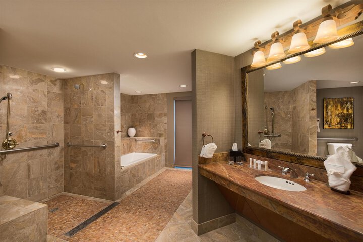 Embassy Suites by Hilton Dallas Frisco Hotel & Convention Center