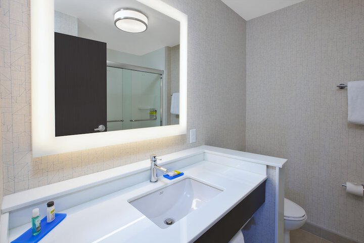 Holiday Inn Express Auburn Hills South by IHG