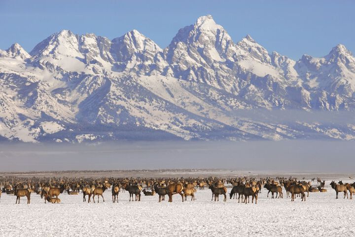 Four Seasons Resort Jackson Hole