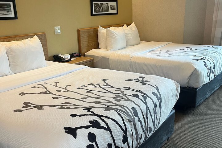 Room 14 of 32
