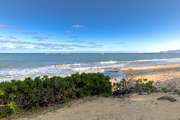 Beach 66 of 79