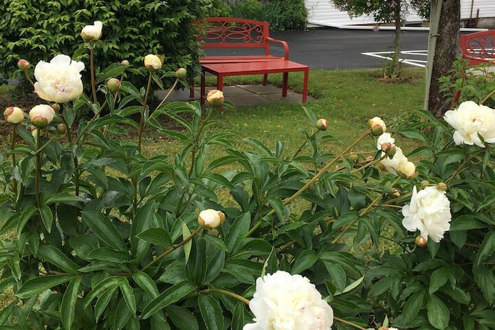 Harmony B & B & Suites