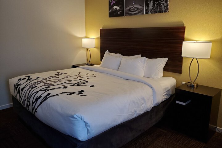 Room 18 of 52
