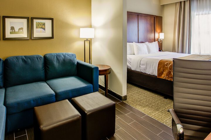 Comfort Suites Georgetown