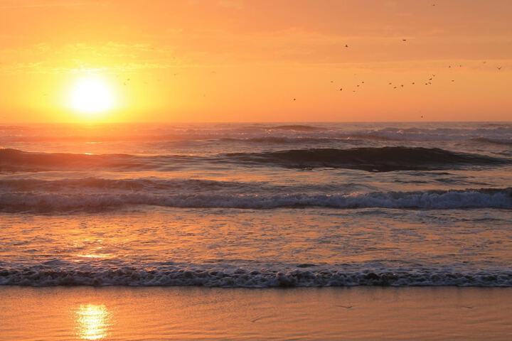 Beach 36 of 41