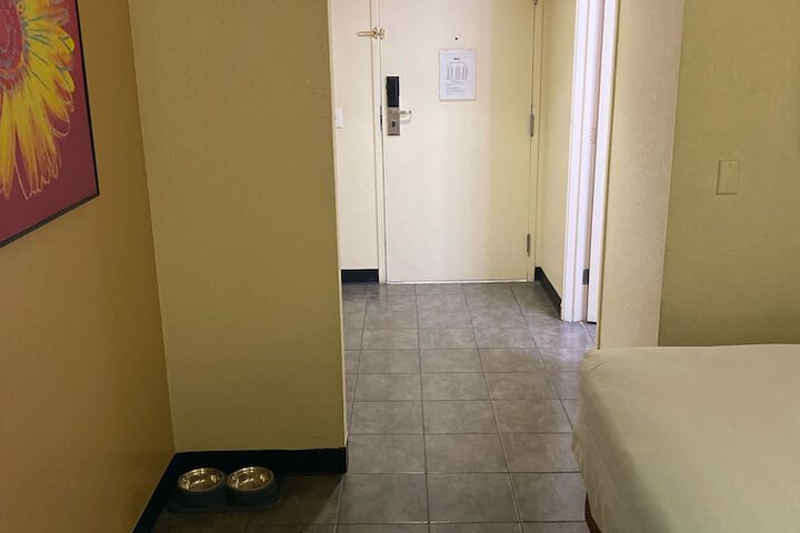 Room 19 of 72