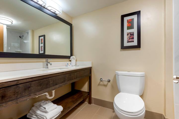 Comfort Inn Binghamton I-81