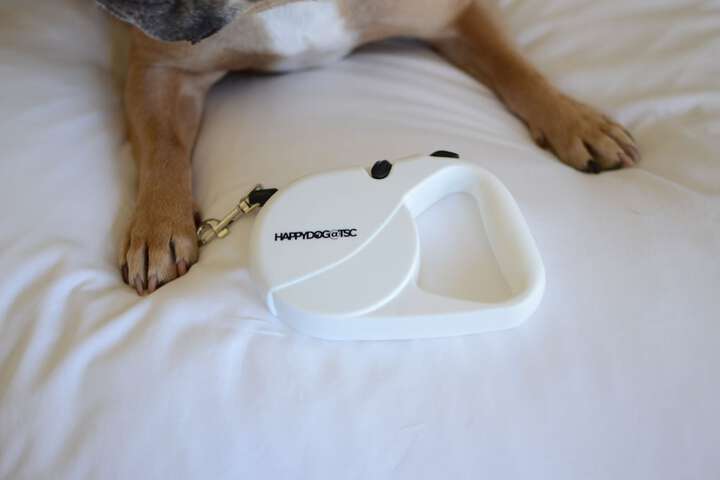 Pet Friendly 108 of 115