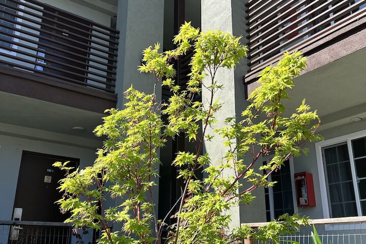Hotel Exterior 22 of 23