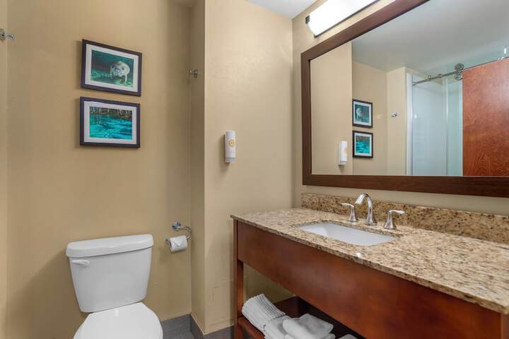 Comfort Suites Tallahassee Capitol - University Area
