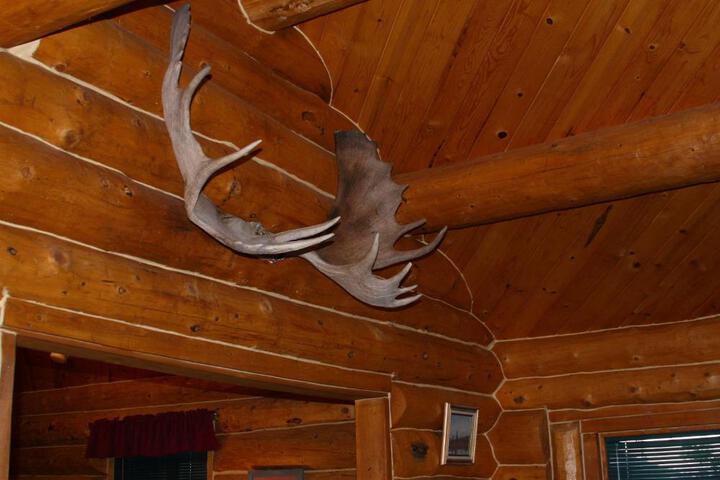 Moose Cabin