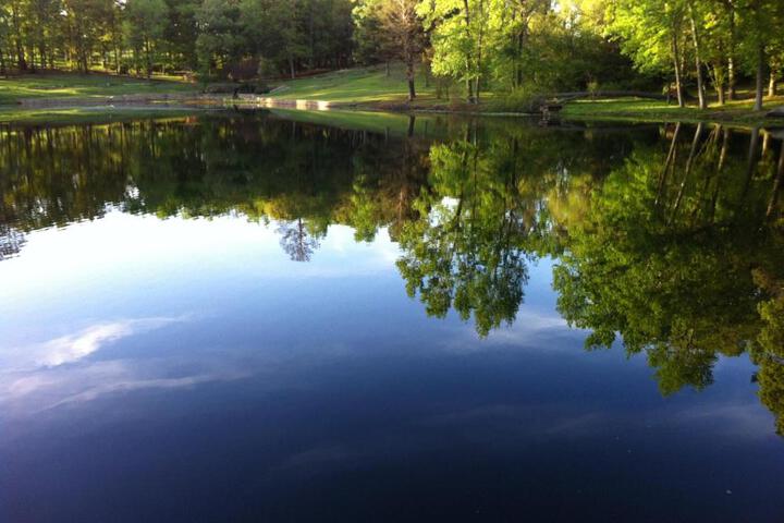 Dogwood Springs Lodgings