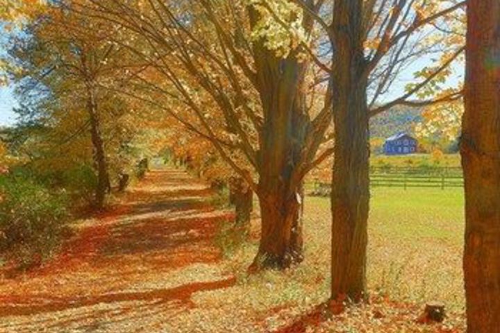 Mountain Horse Farm