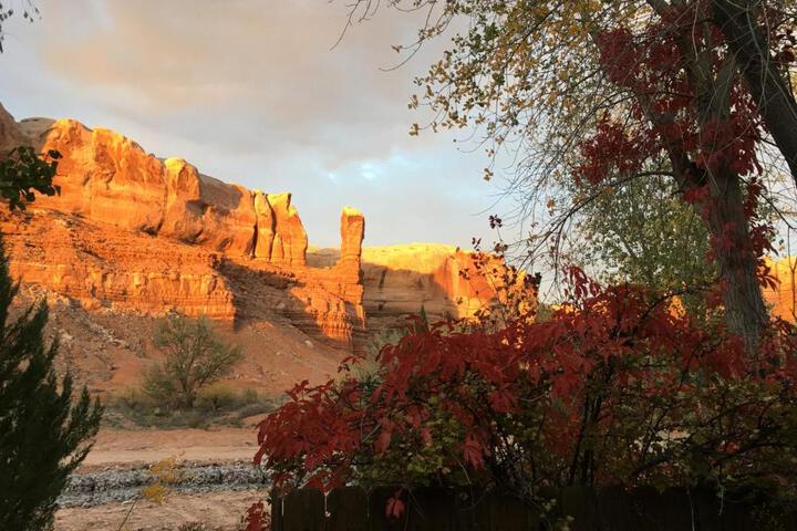 The Canyon Wren