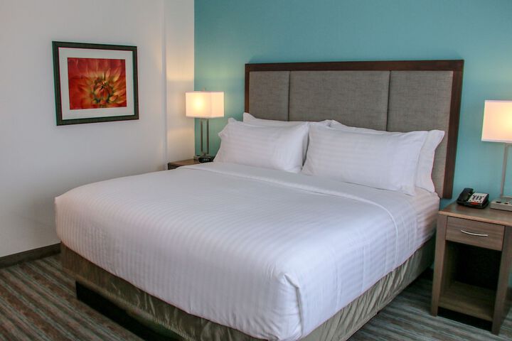 Holiday Inn & Suites Denver Tech Center-Centennial by IHG
