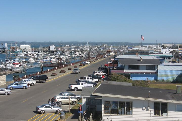 Islander Westport