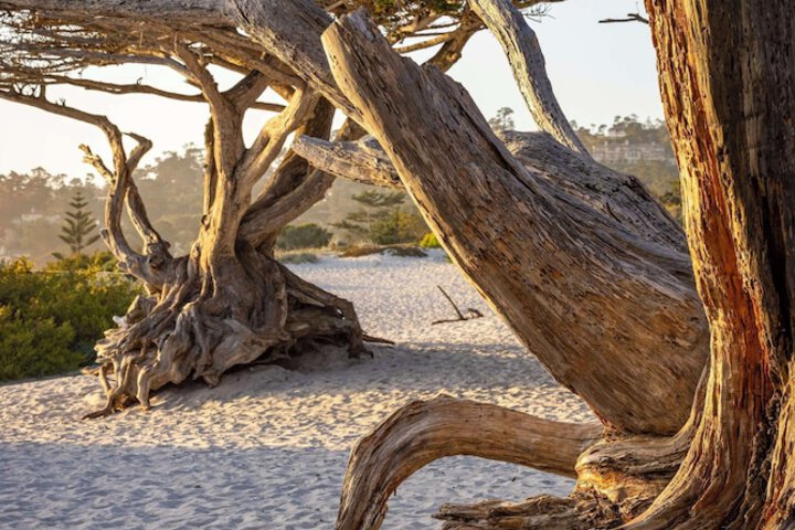 Home2 Suites by Hilton at the Dunes on Monterey Bay