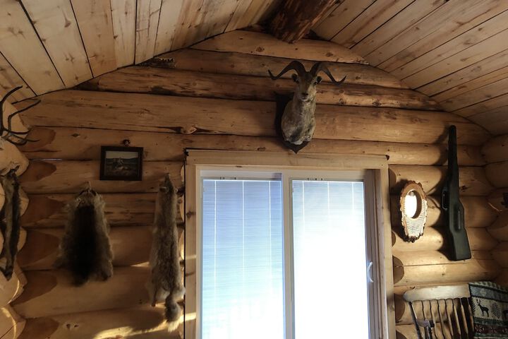 Wrangell Mountain Lodge