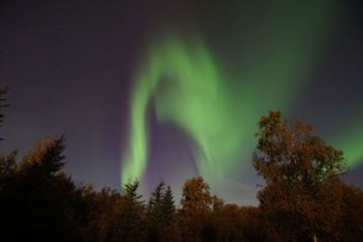 Fairbanks Moose Manor B & B