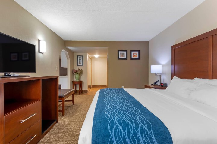 Comfort Inn Binghamton I-81