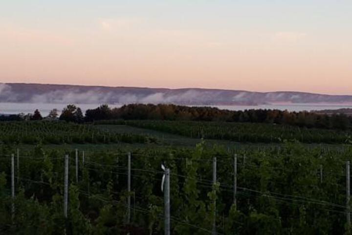Raven Hill Vineyard