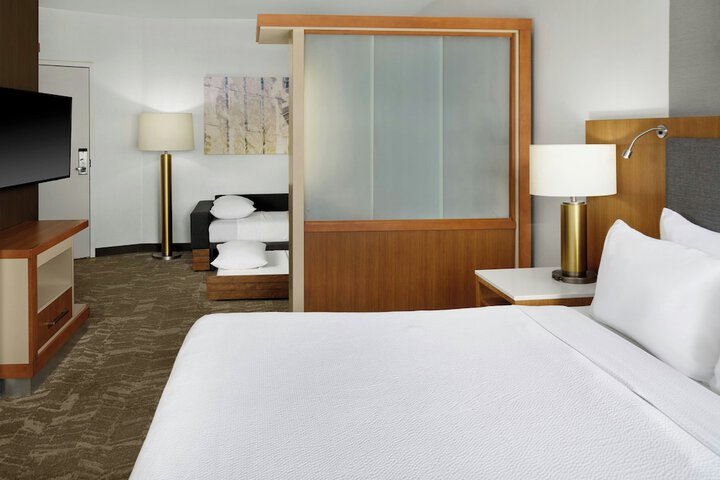 SpringHill Suites by Marriott Detroit Metro Airport Romulus