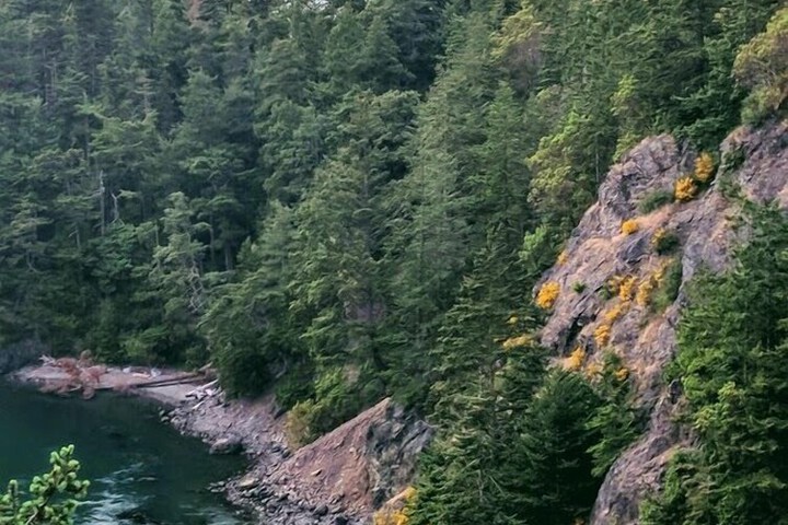 The Bluff on Whidbey B & B