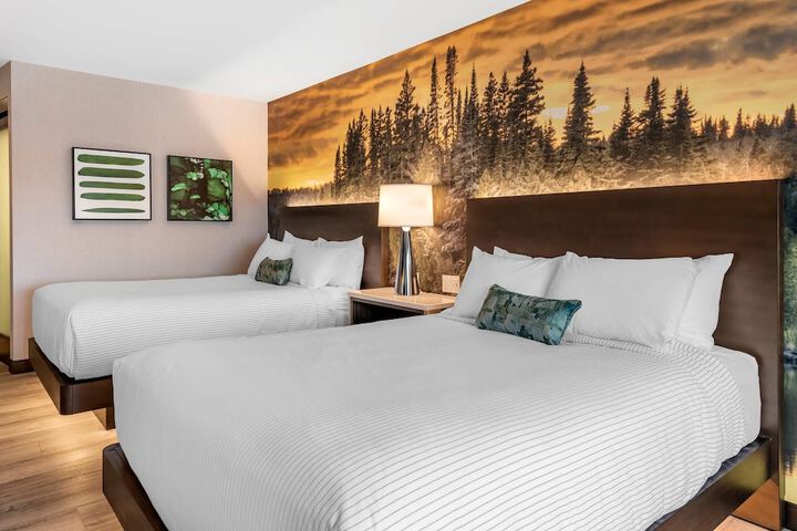 Cambria Hotel Shelby Township - Detroit Utica