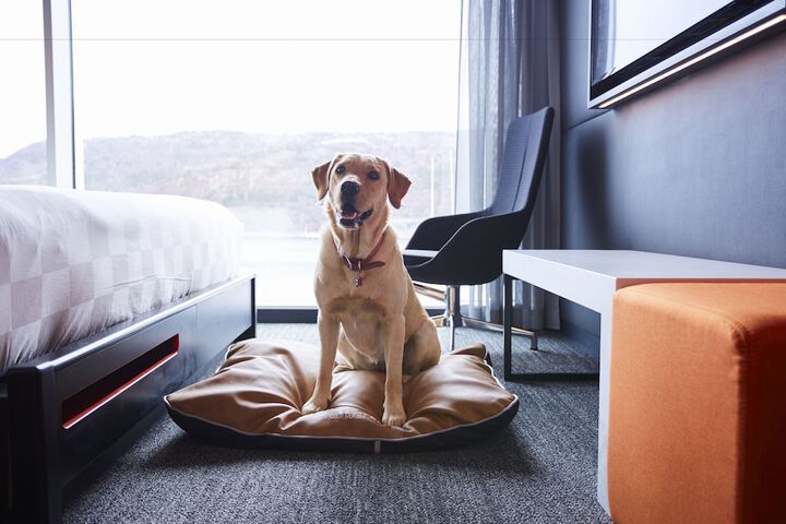 Alt Hotel St. Johns