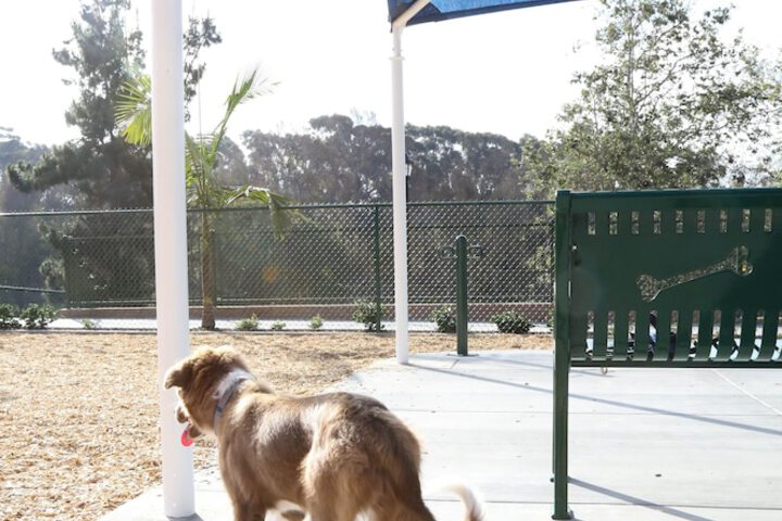 Pet Friendly 93 of 97