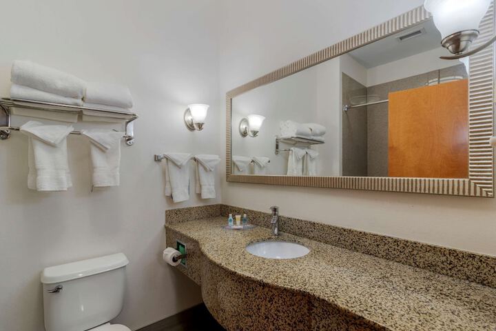 Comfort Suites Stockbridge Atlanta South