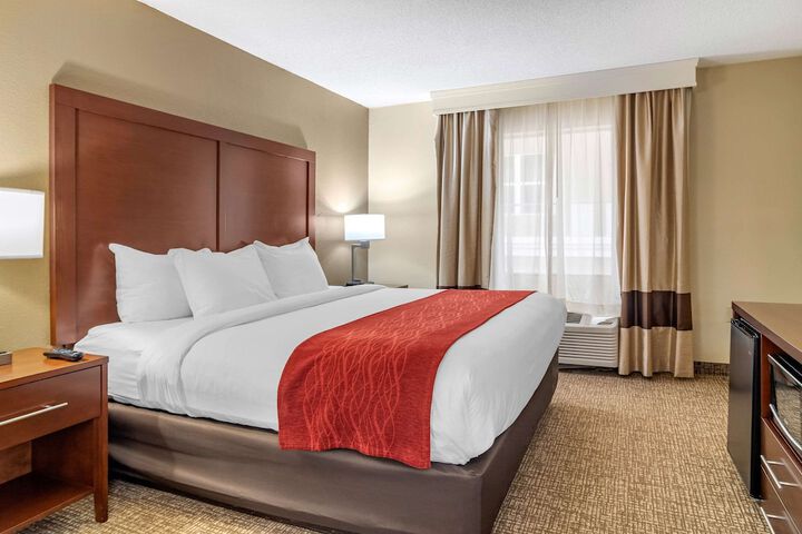 Comfort Inn & Suites Macon North I-75