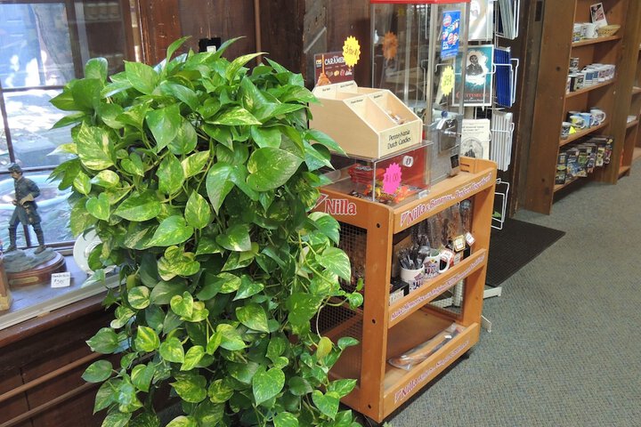 Gift Shop 55 of 65
