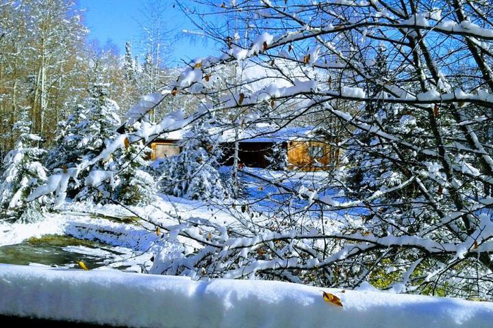 Alaska Chalet Bed & Breakfast