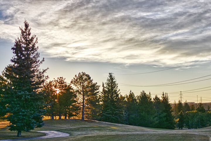 Golf 59 of 63
