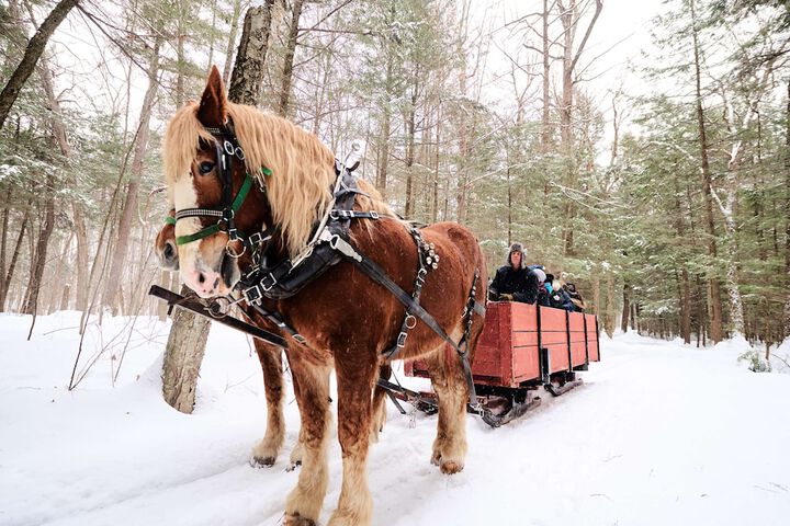 Fairmont Le Chateau Montebello