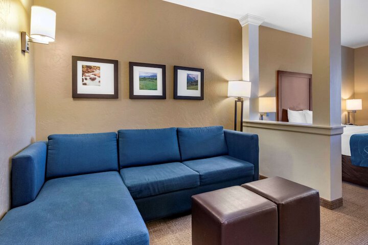 Comfort Suites Airport - University