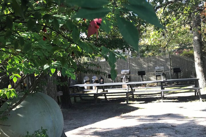 Property Grounds 47 of 47