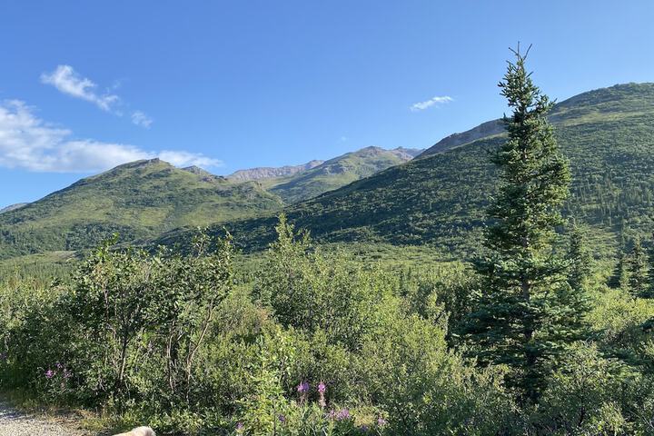 Denali RV Park and Motel