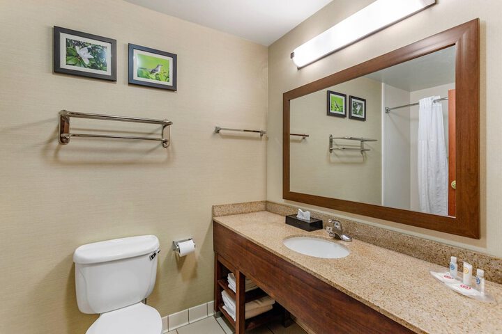 Comfort Suites Southaven - Memphis South