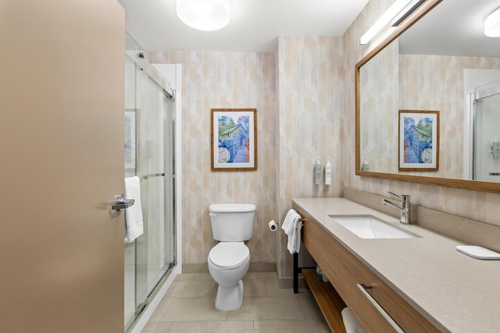 Hampton Inn Carrollton