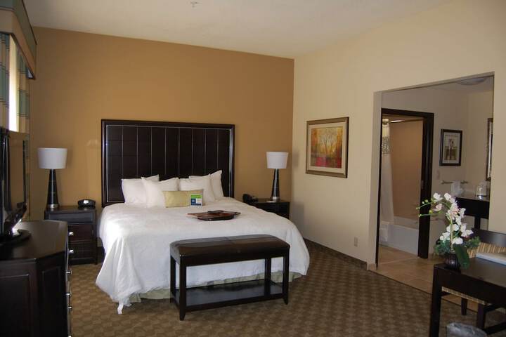 Hampton Inn & Suites McAlester