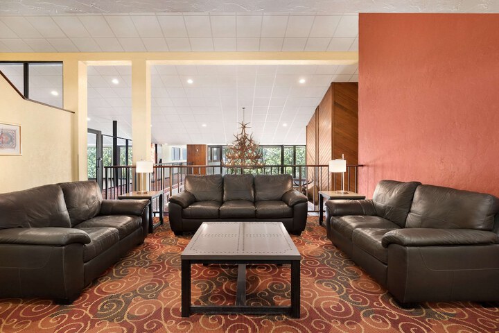 Lounge 41 of 43