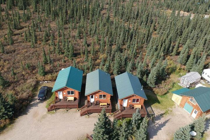 Denalis Alaskan Spruce Cabins