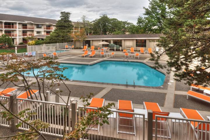 Pool 6 of 58